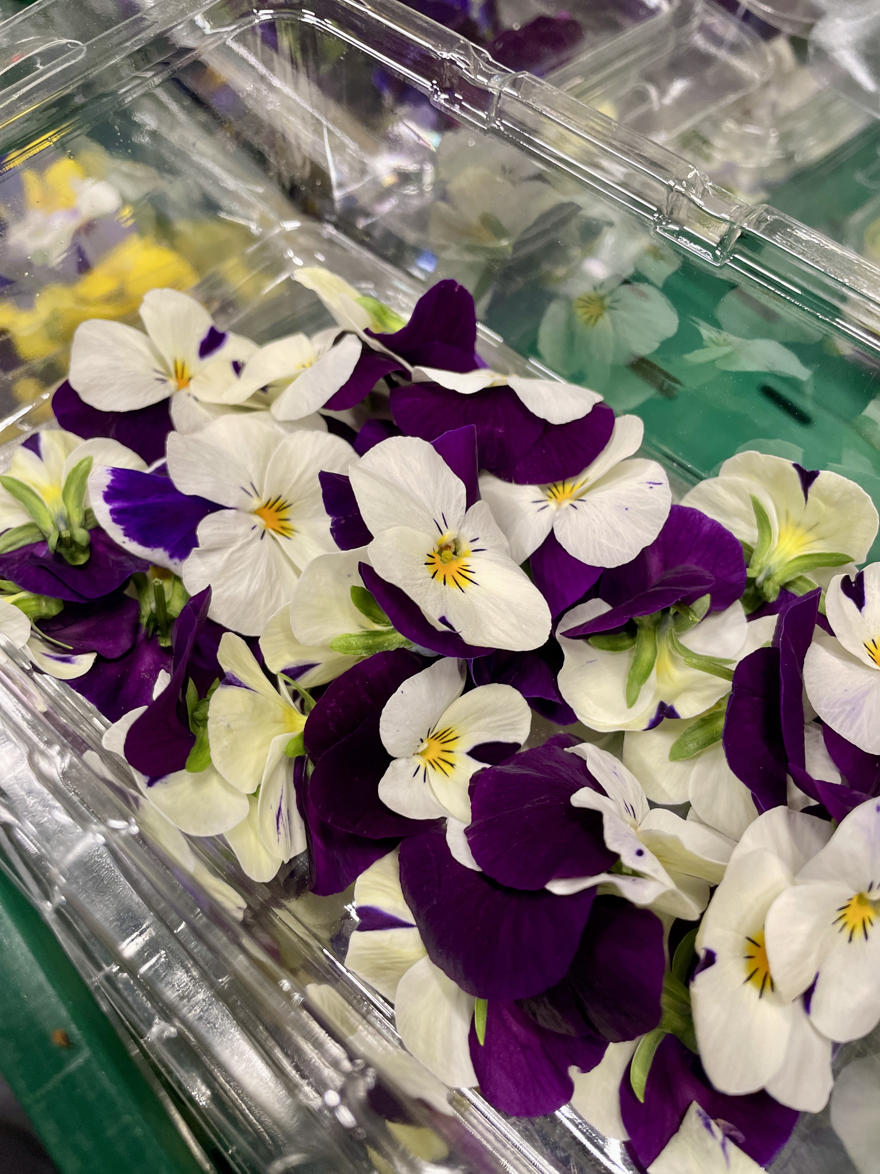 Blütenschale mit essbaren Blüten