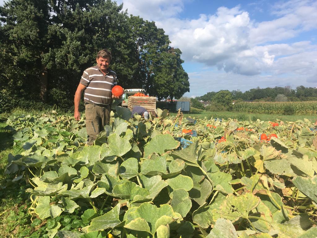 Horst Binder bei der Ernte